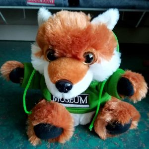 Red Fox Plushie with the Thunder Bay Museum logo