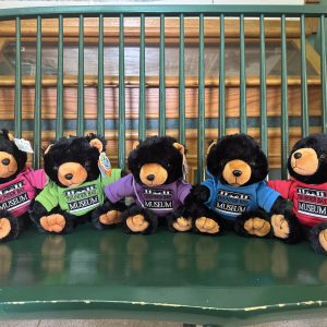 Black Bear Plushie