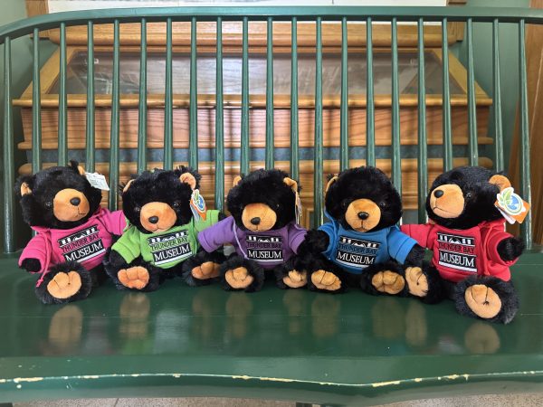 Black Bear Plushie