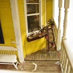 Plant stand with various plants set up on the porch near a window.