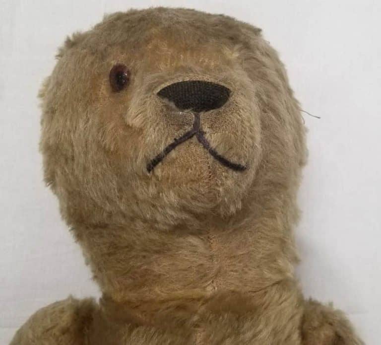 Stuffed Teddy Bear, with a head that can swivel.