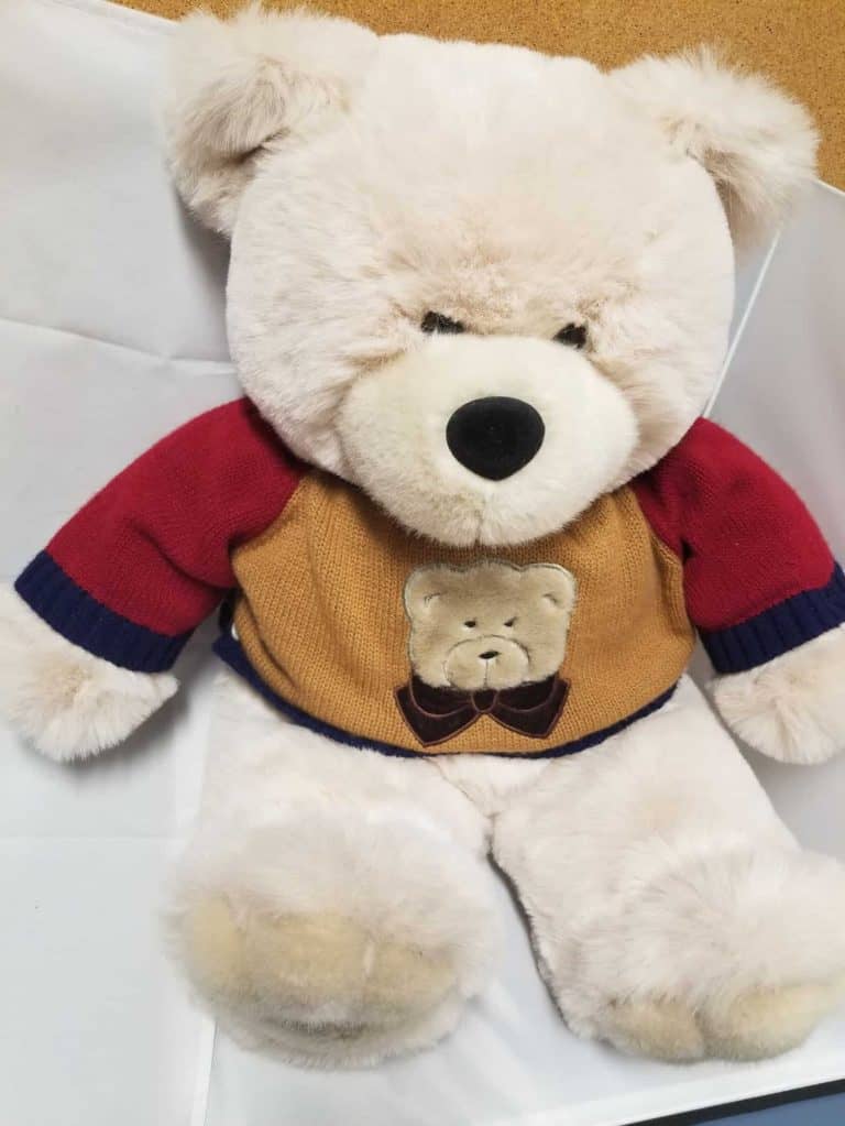 White teddy bear wearing a knit gold, red, and blue sweater with a bear patch on the front.